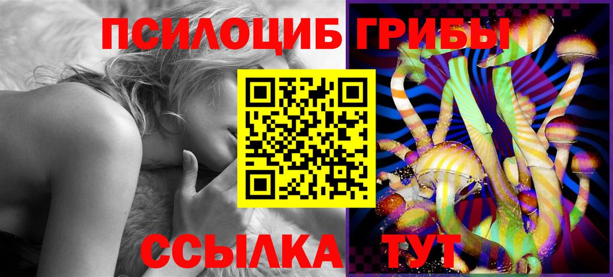 Галлюциногенные грибы Psilocybine cubensis Вязьма